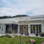 군위오펠gc 음식 랭킹 - 다이닝코드, 빅데이터 맛집검색