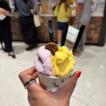 쎄띠엠므 현대백화점판교점 - 판교 젤라또, 젤라또아이스크림 맛집 - 다이닝코드