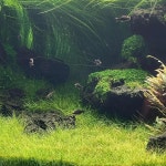 대전광역시 중구 대흥로175번길 맛집 Top13 - 다이닝코드