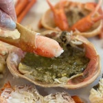 강원 속초시 중앙동 음식 랭킹 - 다이닝코드