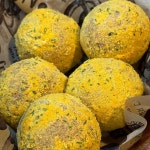 용두역 치킨 맛집 Top15 - 다이닝코드