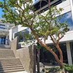 동해시 노키즈존 맛집 Top5 - 다이닝코드