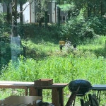 경기도 용인시 수지구 동천로 233-2 주소 검색 결과 1곳 - 다이닝코드