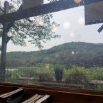 경북 칠곡군 가산면 학하리 음식 랭킹 - 다이닝코드