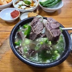 한일냉면식당 - 포항 냉면, 평양냉면 맛집 - 다이닝코드