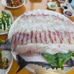 제주 다금바리 맛집 Top100 - 다이닝코드