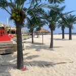 강원특별자치도 양양군 강현면 동해대로 3266 주소 검색 결과 1곳 - 다이닝코드