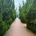 경상남도 거제시 옥포1동 음식 랭킹 - 다이닝코드