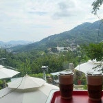 북악스카이웨이 음식 랭킹 - 다이닝코드