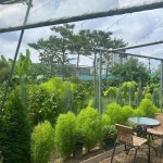 257의정부부대찌개 양지점 - 성남 부대찌개, 돌솥밥 맛집 - 다이닝코드