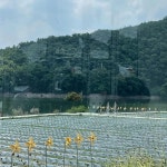 경상북도+경주시+하동 음식 랭킹 - 다이닝코드