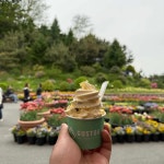 Cafe de PINNACLE - 아산 카페, 브런치 맛집 - 다이닝코드