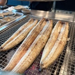 영산강민물장어 백운호수점 - 백운호수 장어, 장어구이 맛집 - 다이닝코드
