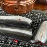 풍천민물장어 - 원당역 장어, 풍천민물장어 맛집 - 다이닝코드