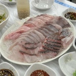 여수 로컬 맛집의 자존심, 조일식당의 선어회 - AI 딩코의 맛집 공략