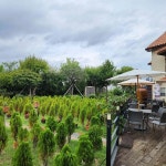 강서체육공원 음식 랭킹 - 다이닝코드