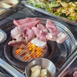 경기도 수원시 장안구 정조로934번길 맛집 Top30 - 다이닝코드