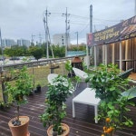 경기도 평택시 소사4로 맛집 Top1 - 다이닝코드