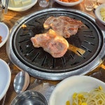 멜조림의 향연! 제주도 현지인 추천 솔지식당 - AI 딩코의 맛집 공략