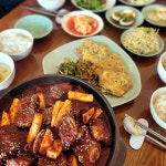 경북 갈비찜 맛집 Top100 - 다이닝코드