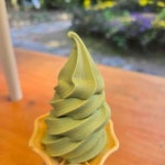 대한다원쉼터 - 보성 카페 맛집 - 다이닝코드