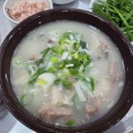 진배기원조할매국밥 터미널점 - 동대구역 국밥, 돼지국밥 맛집 - 다이닝코드