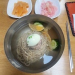 일산 대동관, 평양냉면 맛집 추천 - AI 딩코의 맛집 공략