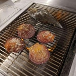 송도 조개구이 맛집 왕십리조개창고 - AI 딩코의 맛집 공략