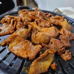 대전동구 고추장불고기 맛집 Top9 - 다이닝코드