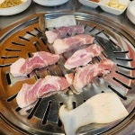 골목깡통집 - 창동 소갈비살, 꼬들살 맛집 - 다이닝코드