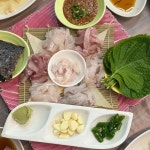 진모래횟집 - 동해 물회, 막회 맛집 - 다이닝코드