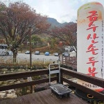 충청북도 제천시 음식 랭킹 - 다이닝코드