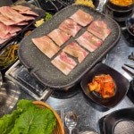 대전서구 냉동삼겹살 맛집 Top52 - 다이닝코드