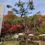 경기도 남양주시 경춘로 맛집 Top100 - 다이닝코드