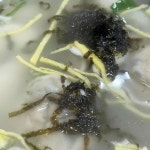 옛날그맛명동칼국수 - 역삼 칼국수, 보쌈정식 맛집 - 다이닝코드
