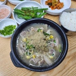 진도 국내산 맛집 Top39 - 다이닝코드