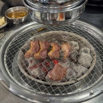 돼지 꿈 꾸는집 - 천안 뒷고기, 돼지부속 맛집 - 다이닝코드