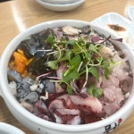 속초고속터미널 저녁식사 맛집 Top8 - 다이닝코드