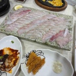 세양회전문점 - 전남장흥 횟집, 다금바리 맛집 - 다이닝코드