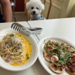 대전광역시 서구 원도안로241번길 24-12 주소 검색 결과 1곳 - 다이닝코드