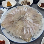 포항 개별룸 맛집 Top100 - 다이닝코드