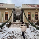 보정 - 연천 나물, 두부구이 맛집 - 다이닝코드