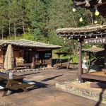 강원특별자치도 정선군 여량면 유천리 맛집 Top3 - 다이닝코드