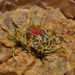 왜고개성지 음식 랭킹 - 다이닝코드