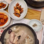 지호한방삼계탕 - 하남 삼계탕, 인삼주 맛집 - 다이닝코드