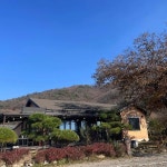 연천 두부요리 맛집 Top70 - 다이닝코드