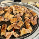 포항 갈비 맛집 Top100 - 다이닝코드