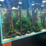 아쿠아가든카페 롯데월드타워점 - 롯데월드몰 커피, 카페 맛집 - 다이닝코드