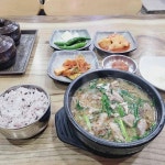 살구나무언덕행원 - 구좌읍 국밥, 몸국 맛집 - 다이닝코드