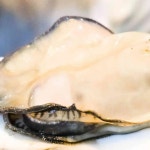 경기도 안양시 만안구 양화로 122 주소 검색 결과 3곳 - 다이닝코드